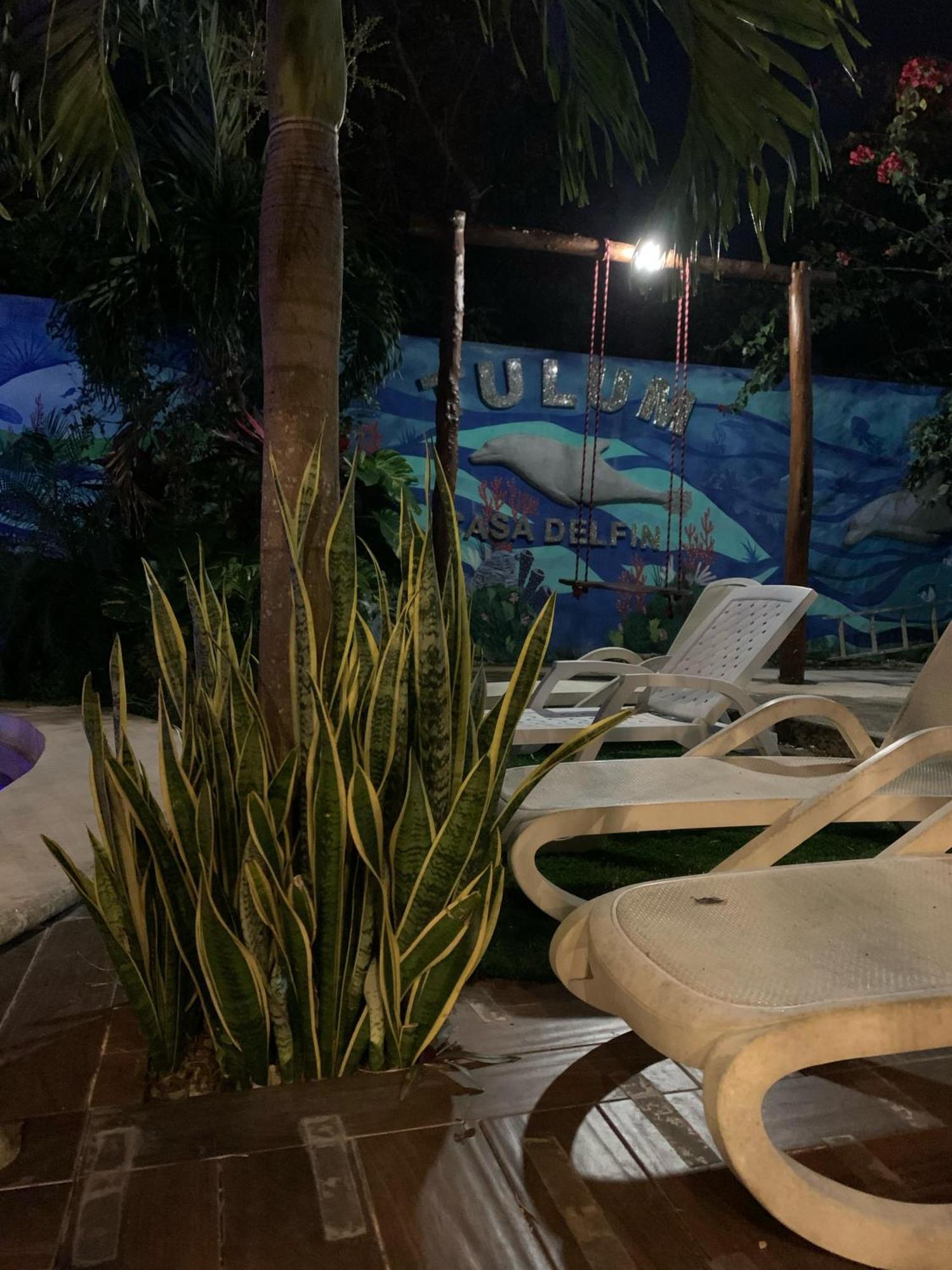 Casa Delfin Tulum Lägenhet Macario Gomez Exteriör bild